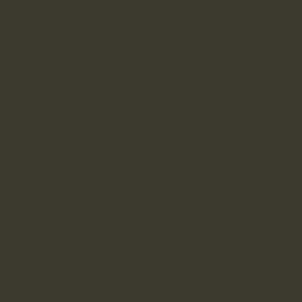 Grauoliv RAL 6006