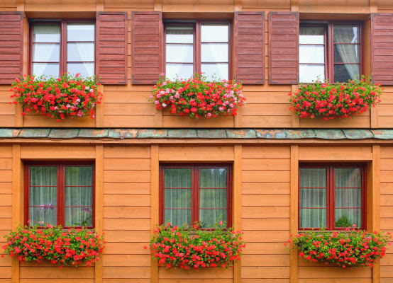 Rote Fenster