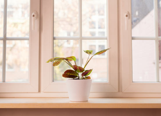 Innenfensterbank Dekorfarbe