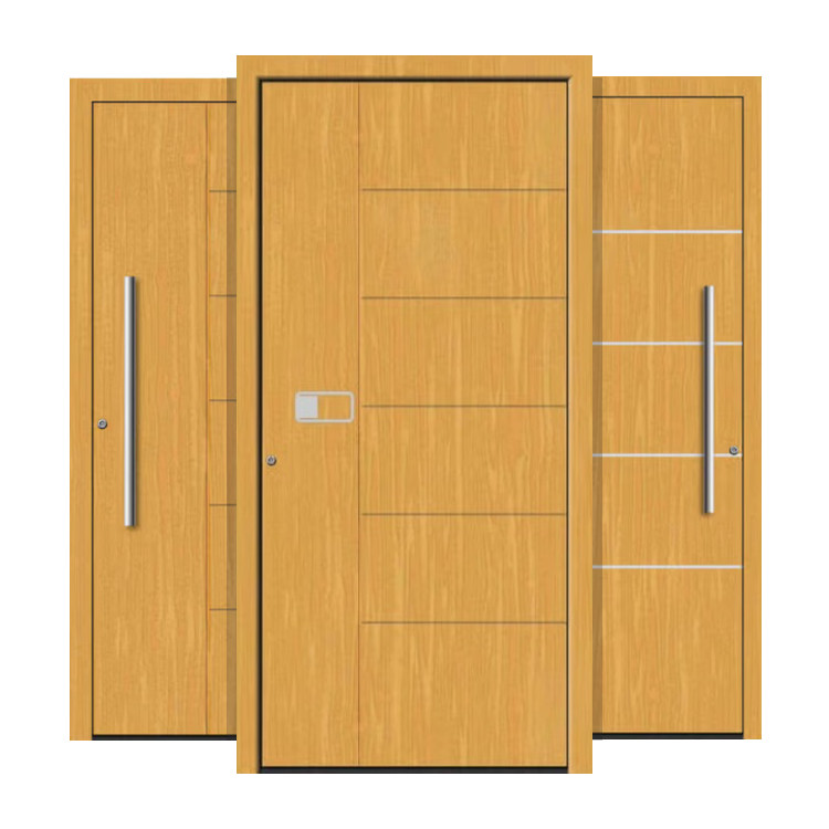 Holz Haustüren modern