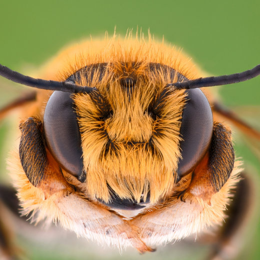 Was Hilft Gegen Bienen Im Fensterrahmen Fensterlüftung » gesundes Raumklima mit Fensterfalzlüftung